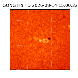 gong - 2026-08-14T15:00:22