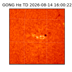 gong - 2026-08-14T16:00:22