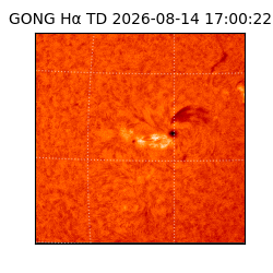 gong - 2026-08-14T17:00:22
