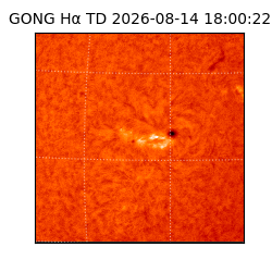 gong - 2026-08-14T18:00:22