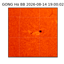 gong - 2026-08-14T19:00:02