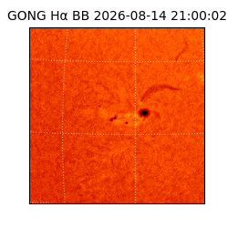 gong - 2026-08-14T21:00:02