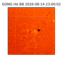 gong - 2026-08-14T23:00:02