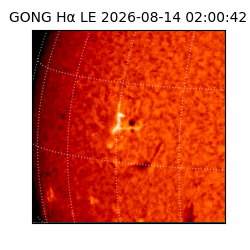 gong - 2026-08-14T02:00:42