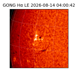 gong - 2026-08-14T04:00:42