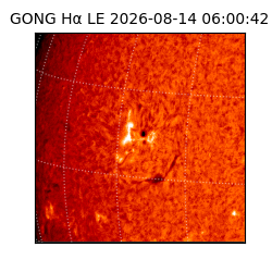 gong - 2026-08-14T06:00:42