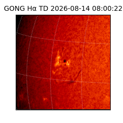 gong - 2026-08-14T08:00:22