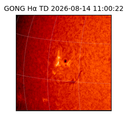 gong - 2026-08-14T11:00:22