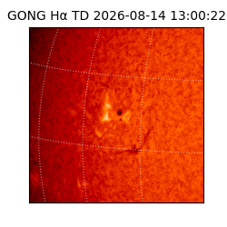 gong - 2026-08-14T13:00:22
