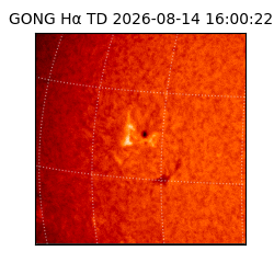 gong - 2026-08-14T16:00:22
