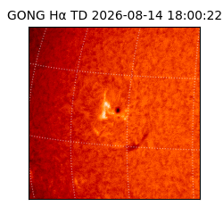 gong - 2026-08-14T18:00:22
