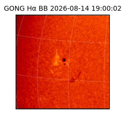 gong - 2026-08-14T19:00:02