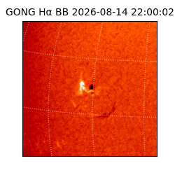 gong - 2026-08-14T22:00:02