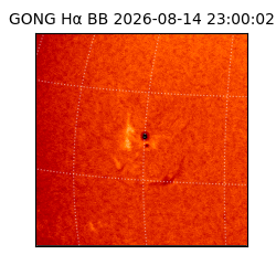 gong - 2026-08-14T23:00:02