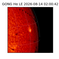 gong - 2026-08-14T02:00:42