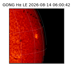 gong - 2026-08-14T06:00:42