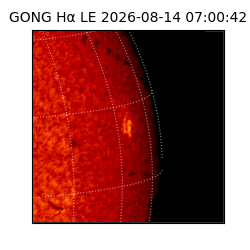 gong - 2026-08-14T07:00:42