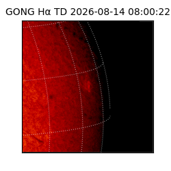 gong - 2026-08-14T08:00:22