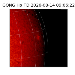 gong - 2026-08-14T09:06:22