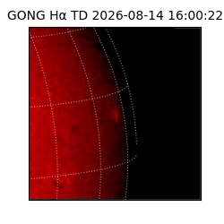 gong - 2026-08-14T16:00:22