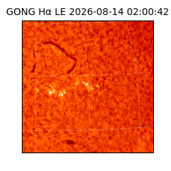 gong - 2026-08-14T02:00:42