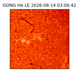 gong - 2026-08-14T03:00:42
