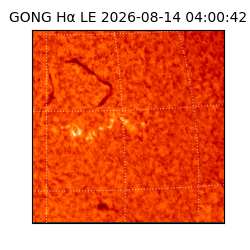 gong - 2026-08-14T04:00:42