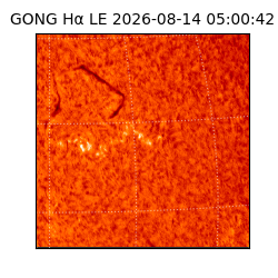 gong - 2026-08-14T05:00:42