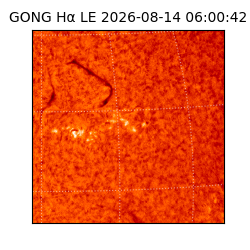 gong - 2026-08-14T06:00:42