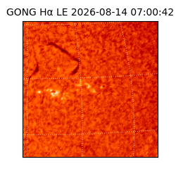 gong - 2026-08-14T07:00:42