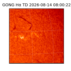 gong - 2026-08-14T08:00:22