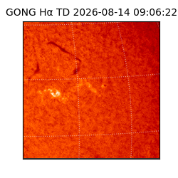 gong - 2026-08-14T09:06:22