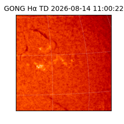 gong - 2026-08-14T11:00:22