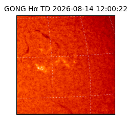 gong - 2026-08-14T12:00:22
