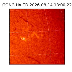 gong - 2026-08-14T13:00:22