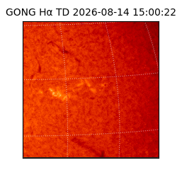 gong - 2026-08-14T15:00:22