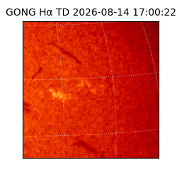 gong - 2026-08-14T17:00:22
