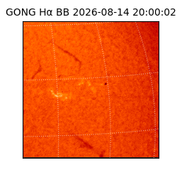 gong - 2026-08-14T20:00:02