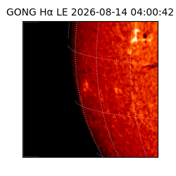 gong - 2026-08-14T04:00:42