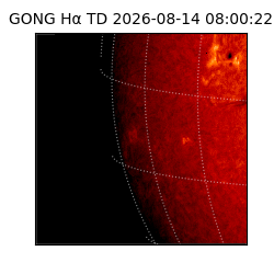 gong - 2026-08-14T08:00:22