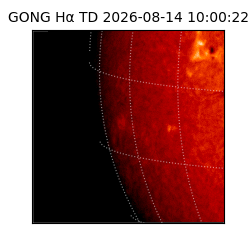 gong - 2026-08-14T10:00:22