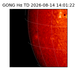 gong - 2026-08-14T14:01:22