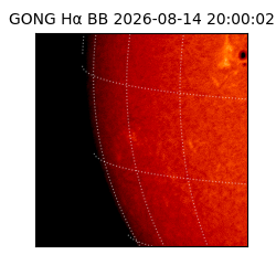 gong - 2026-08-14T20:00:02