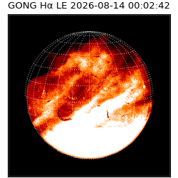 gong - 2026-08-14T00:02:42