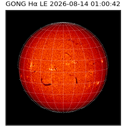 gong - 2026-08-14T01:00:42