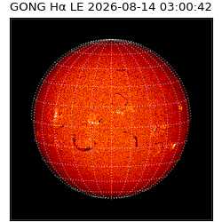 gong - 2026-08-14T03:00:42