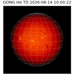 gong - 2026-08-14T10:00:22