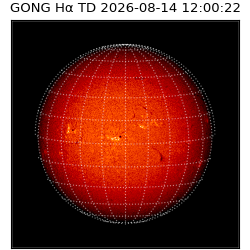 gong - 2026-08-14T12:00:22