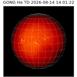 gong - 2026-08-14T14:01:22