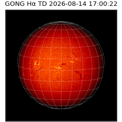 gong - 2026-08-14T17:00:22